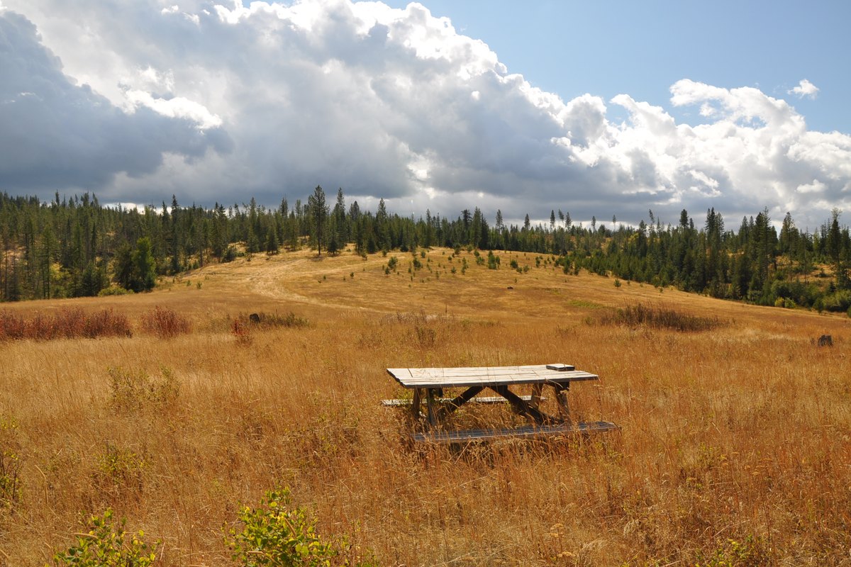 Lower 80 acres - picnic table