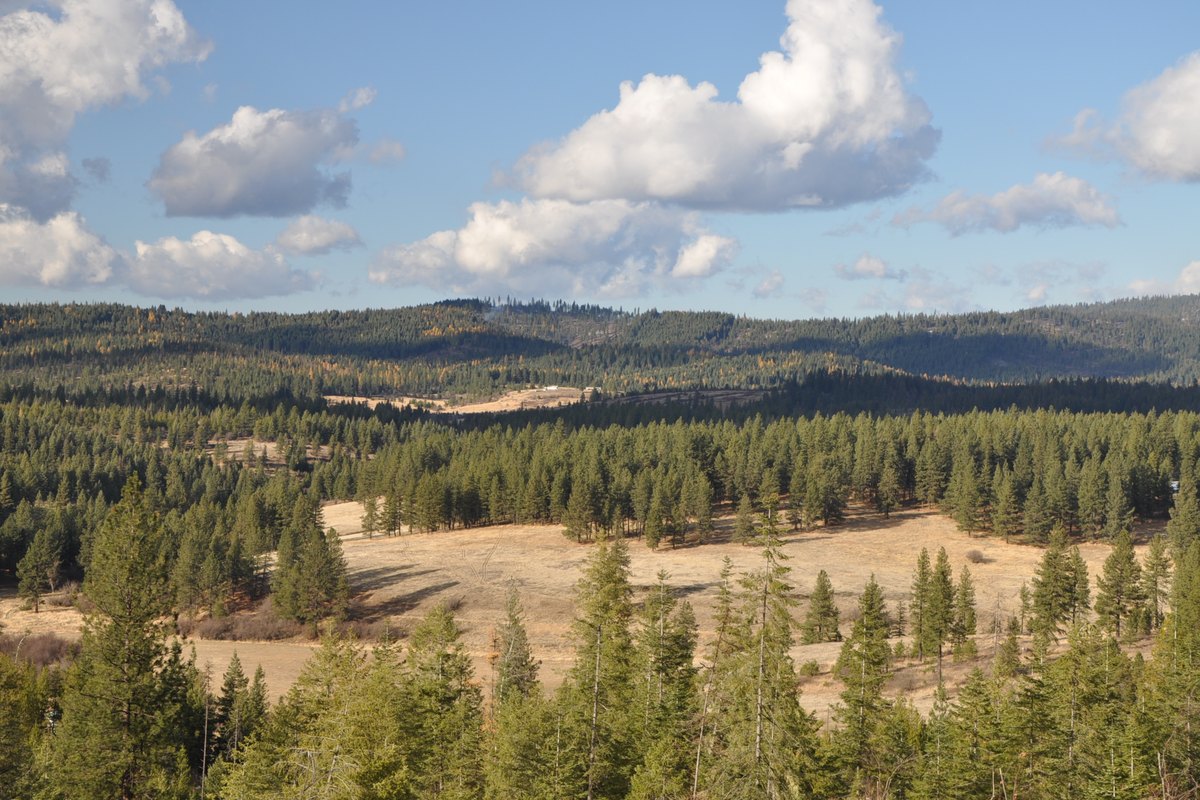 Lower 80 acres - vista