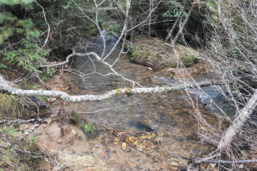 Seasonal creek on the estate