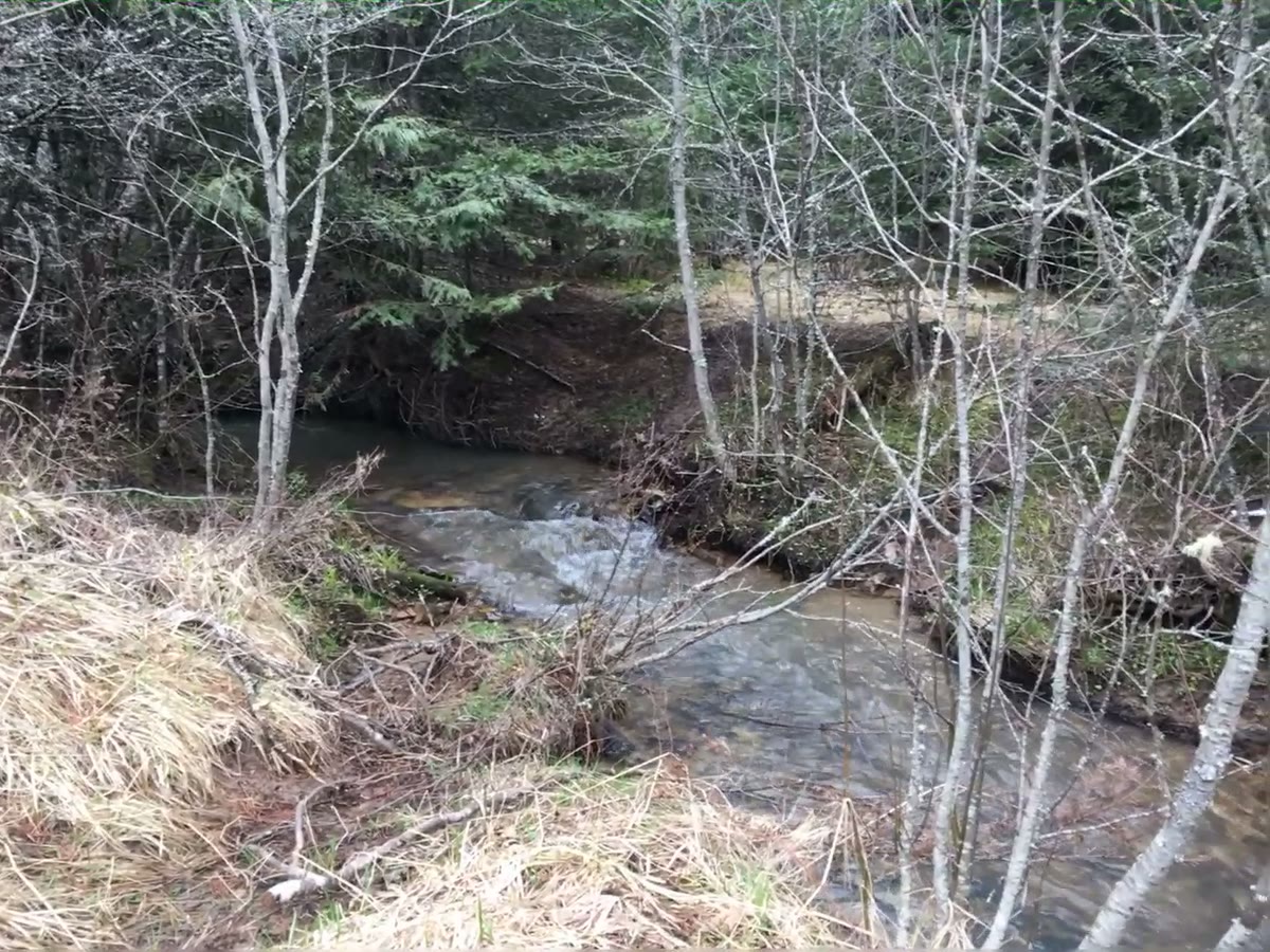 Seasonal creek flowing at the picnic shelf