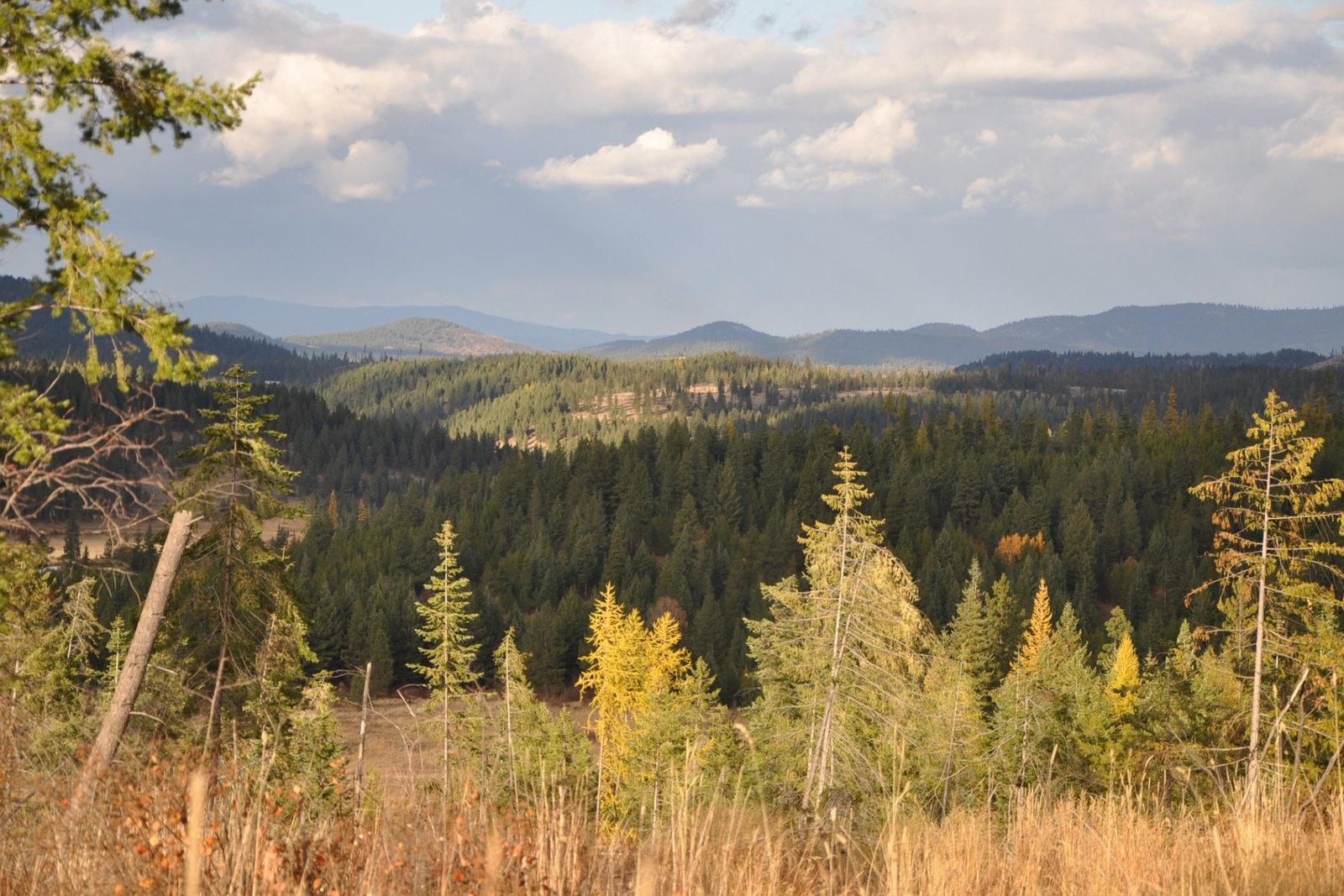 Nine-ridgeline panoramic estate view