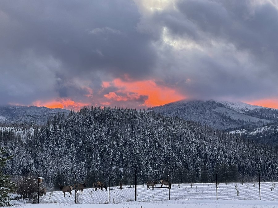 Front porch view in winter, unbroken snow across the ridgeline